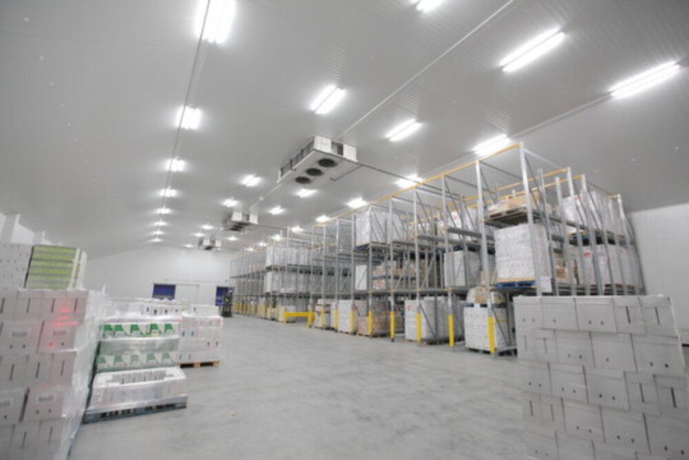 Modular Cold Room - Climate Type: Cool