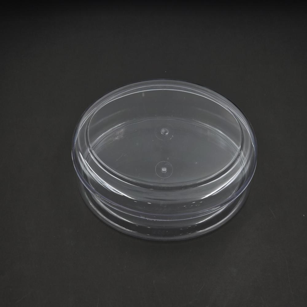 Oval Medium (CPOV2)