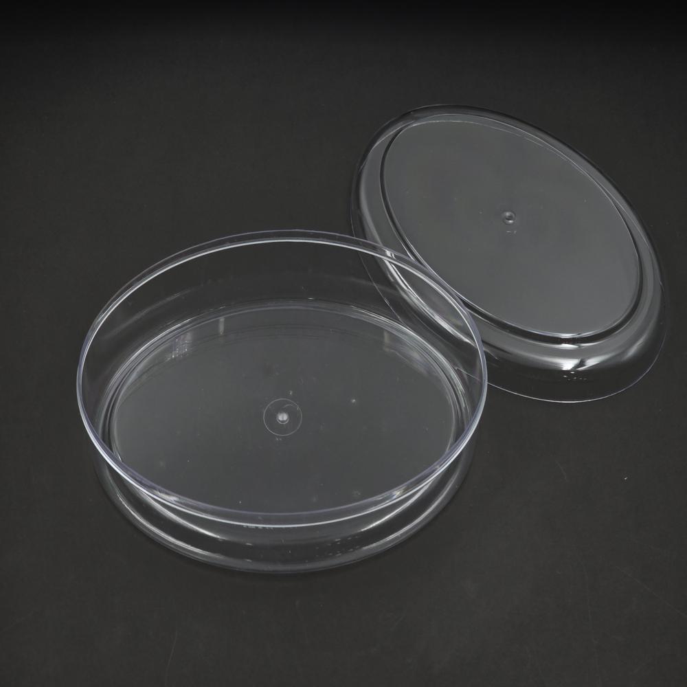 Oval Medium (CPOV2)