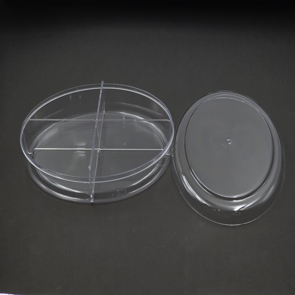 Oval Medium Pt (Cpov2pt) - Color: Transparent