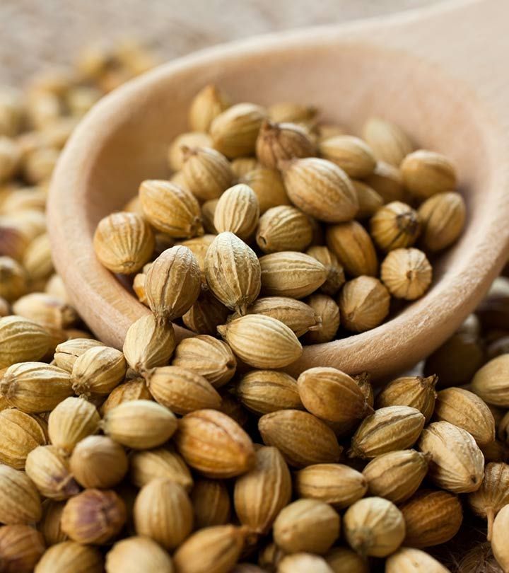 Fresh Coriander - Color: Brown