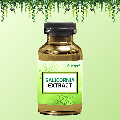 Salicornia Extract - Direction: As Suggested