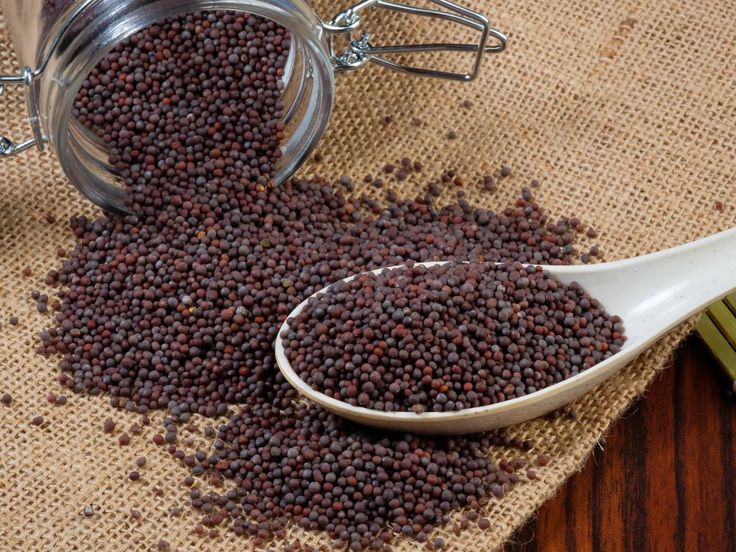 Black Mustard