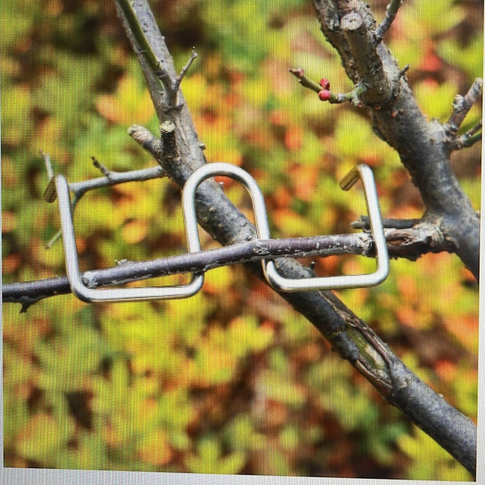 Branch Bending Tools