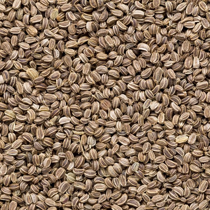 Celery Seeds