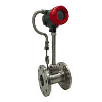 Vortex Flow Meter