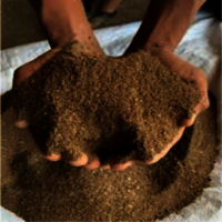 Chicken Rendering Powder / Chicken Meal  / Chicken Waste Powder