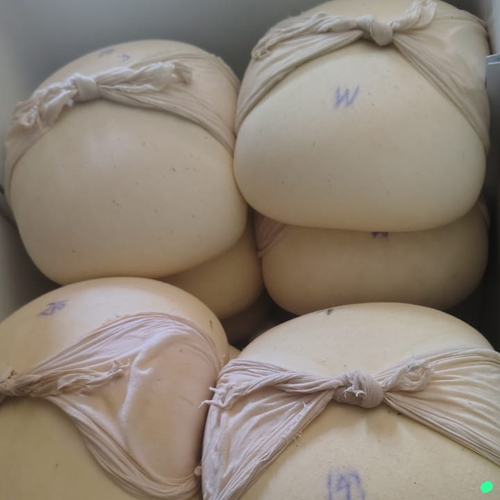 Cow Milk Paneer