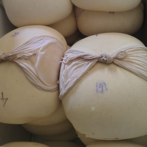 Soya Paneer