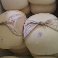 Full Fat Paneer - Age Group: Old-aged