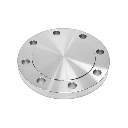 SS BLRF Flange