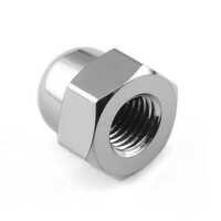 Stainless Steel Dome Nut - Application: Construction