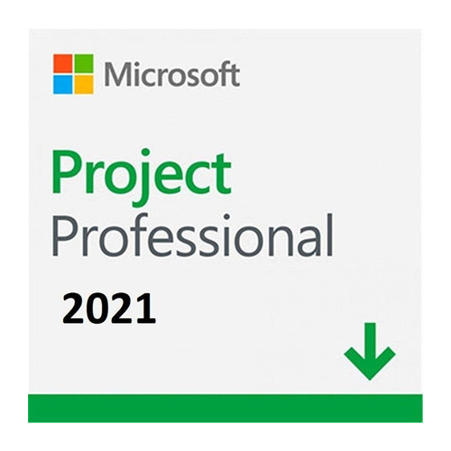 Project 2021 Professional Product Key Software