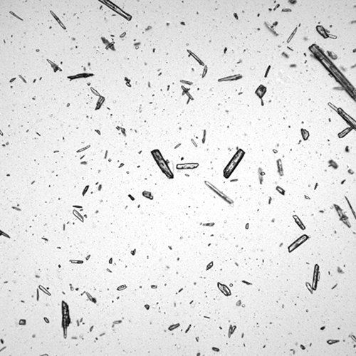 Optical Method Microscopic Particle Size Analyser