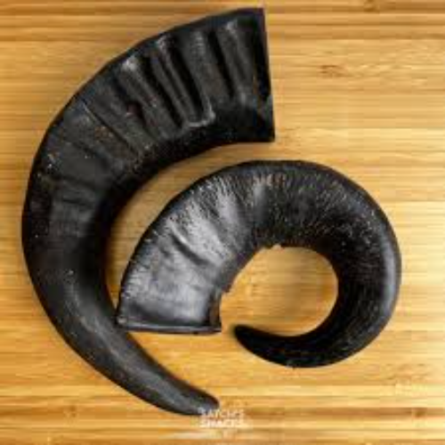 Buffalo horns (Full hollow)