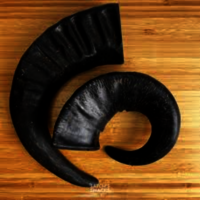 Buffalo horns (Full hollow)
