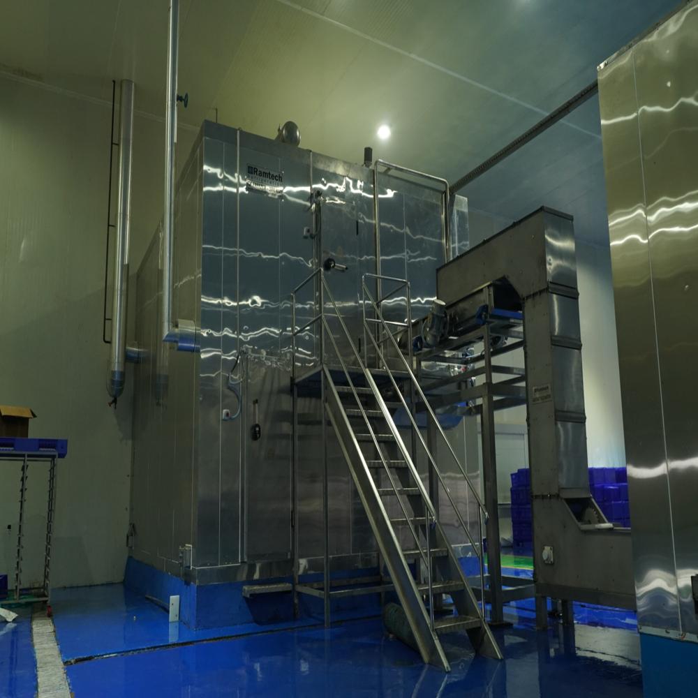 Fluidized Bed IQF Freezer for Green Peas
