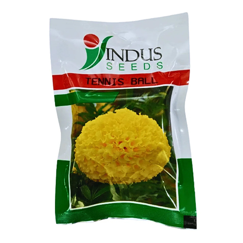 Marigold Tennis Ball Yellow 1000 Seeds