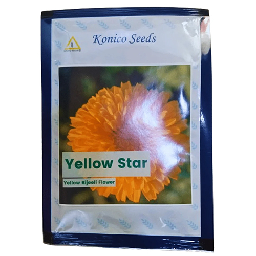 10g Hybrid Yellow Star Konico Seeds