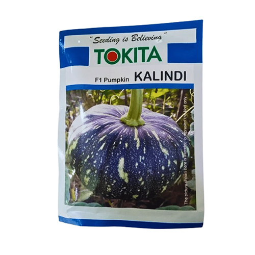 50g Tokita Hybrid Pumpkin Kalindi Seeds
