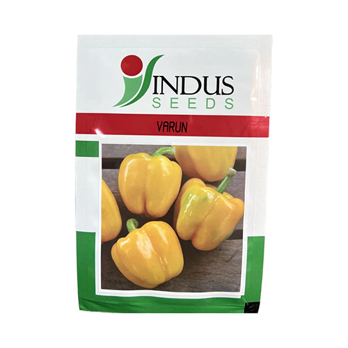 10g Hybrid Varun Capsicum Indus Seeds
