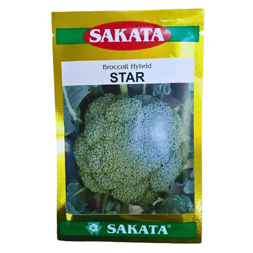 Sakata Star Hybrid Broccoli 2000 Seeds