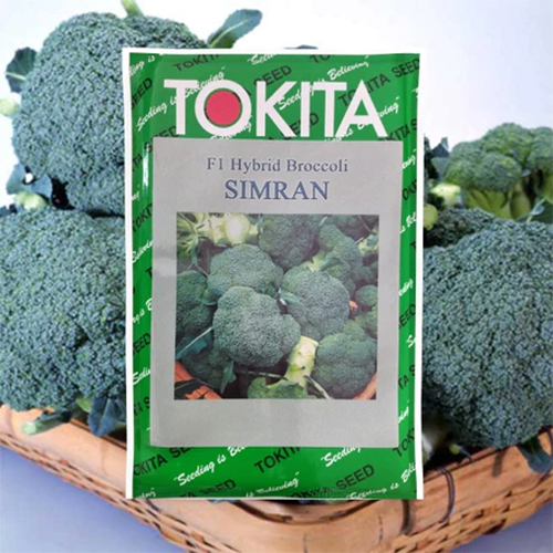 10g Tokita Simran Broccoli Seeds