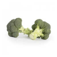Tokita Tsx 2004 Broccoli Seeds - Color: Green And Brown