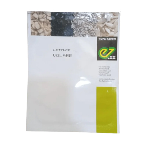 50g Enza Zaden Volare Hybrid Lettuce Seeds