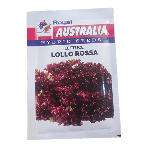 10gm Royal Australia Lettuce Lollo Rossa Seeds