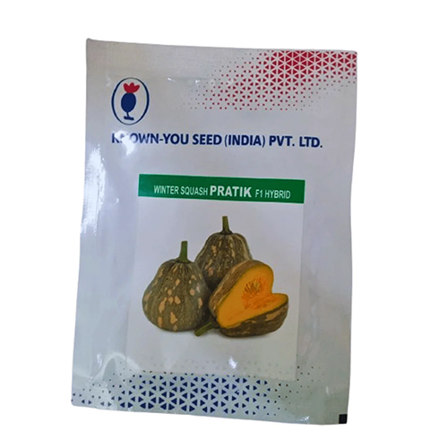 25g Hybrid Pumkin Pratik Seeds