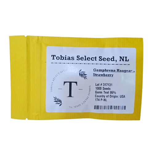 Tobias Hybrid Gomphrena Haageanu Strawberry 1000 Seeds