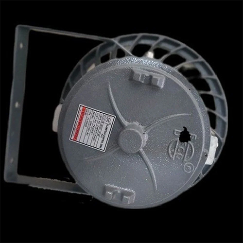 30 W LED Flood Flameproof Light