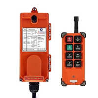 Wireless Remote For EOT Crane