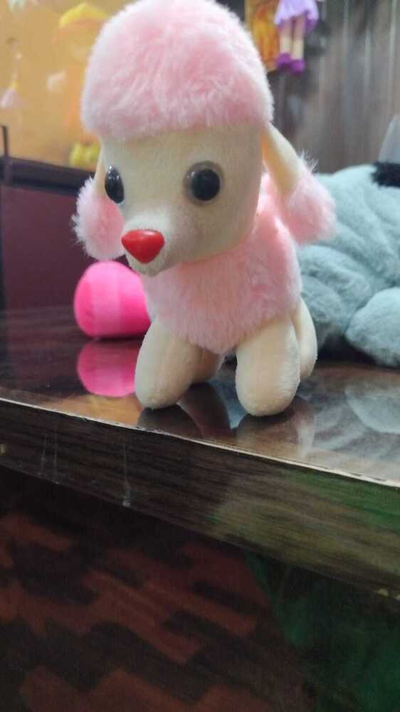 CUDDLE SOFT TOYS