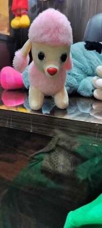 CUDDLE SOFT TOYS