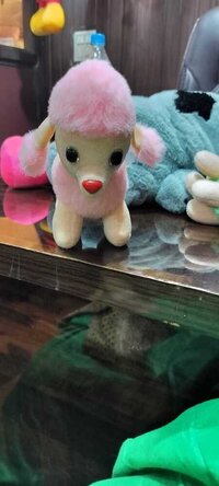 CUDDLE SOFT TOYS