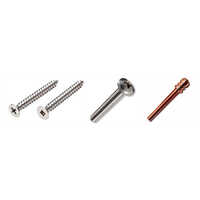 Brass Sealing Screws - Color: Silver