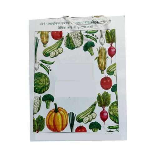 Vegetables Print Loop Handle Art Paper Bag