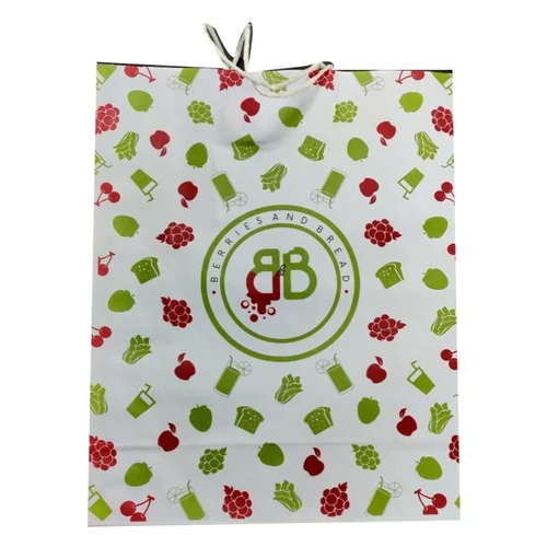 Printed Loop Handle Art Paper Bag - Color: White