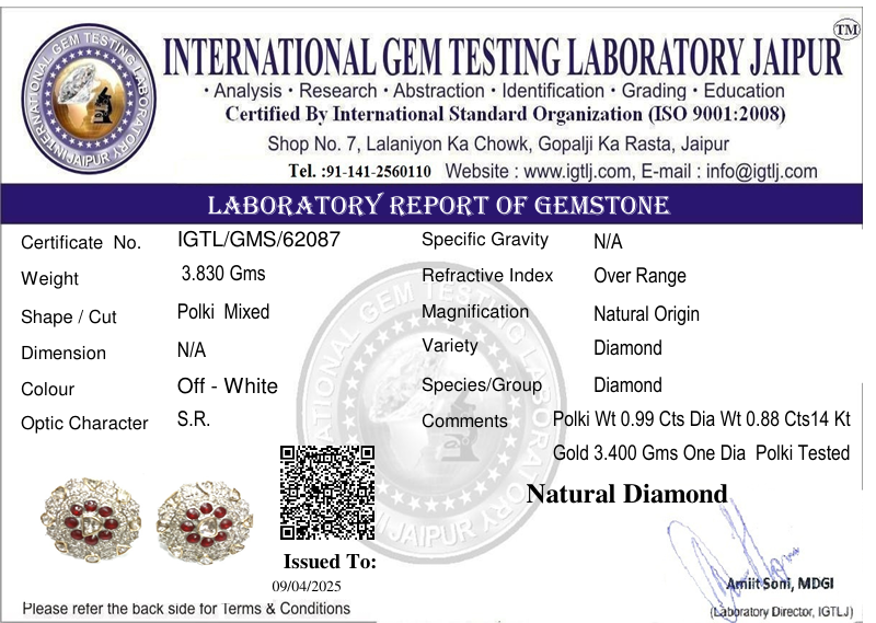 14kt Gold Fusion Open Polki Diamond Earring