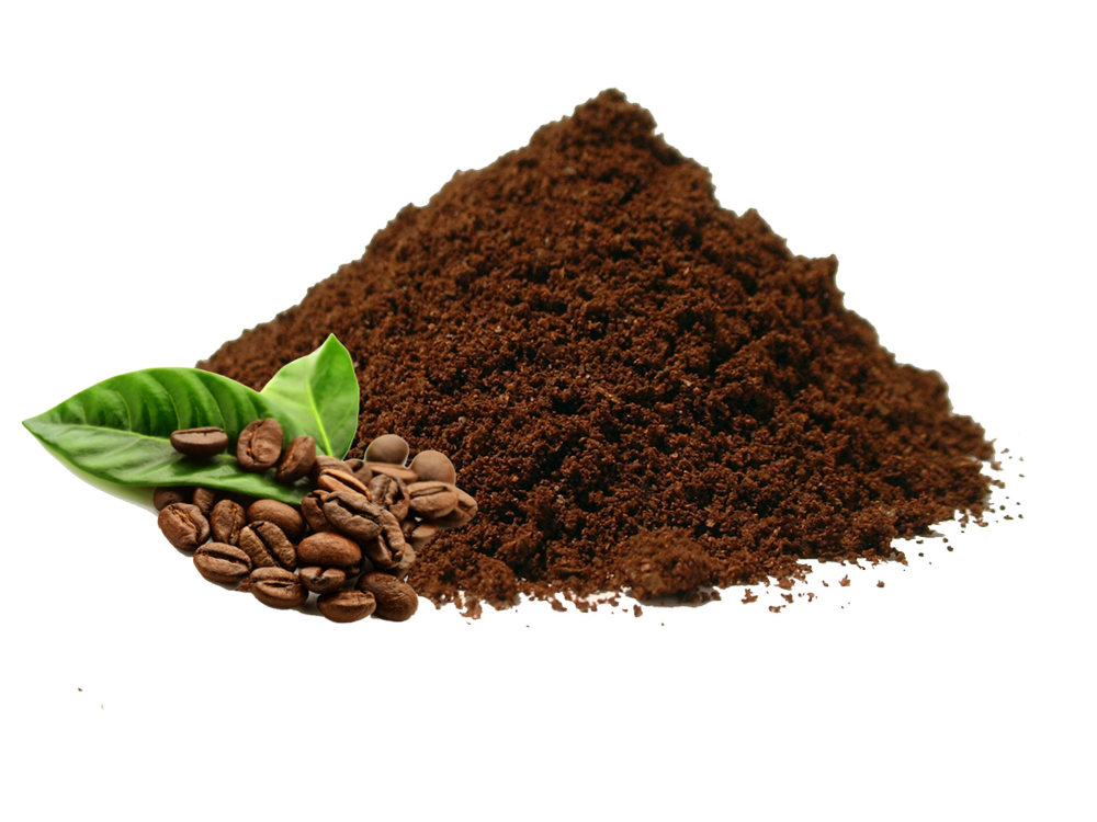 Coffee Protein