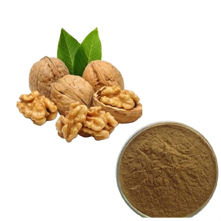 Walnut Protein