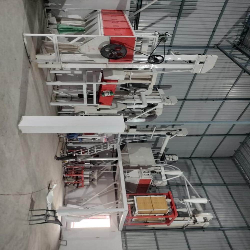 Wheat Greading plantand Atta plant