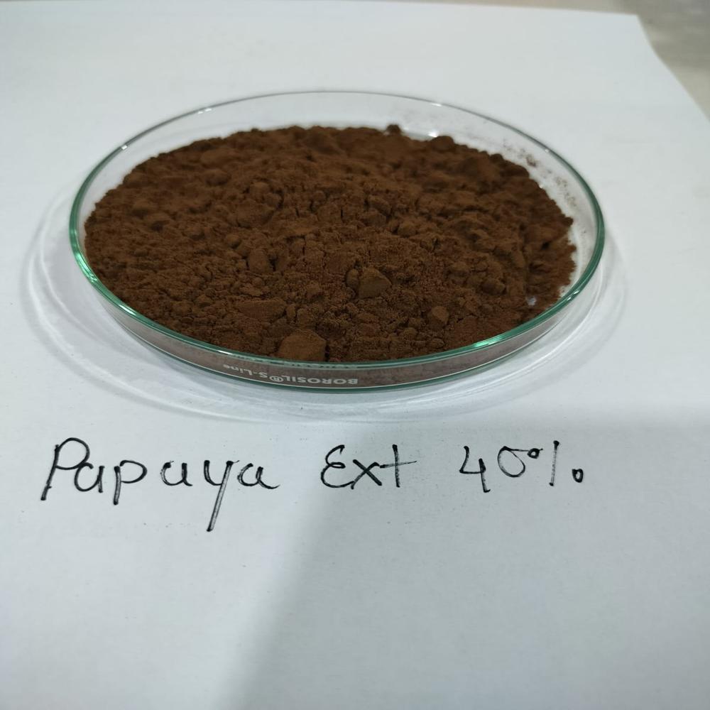 Papaya Leaf Extract - Green Powder Form | Pure Papaya Leaf Extract, Versatile And Natural Solution For Various Applications