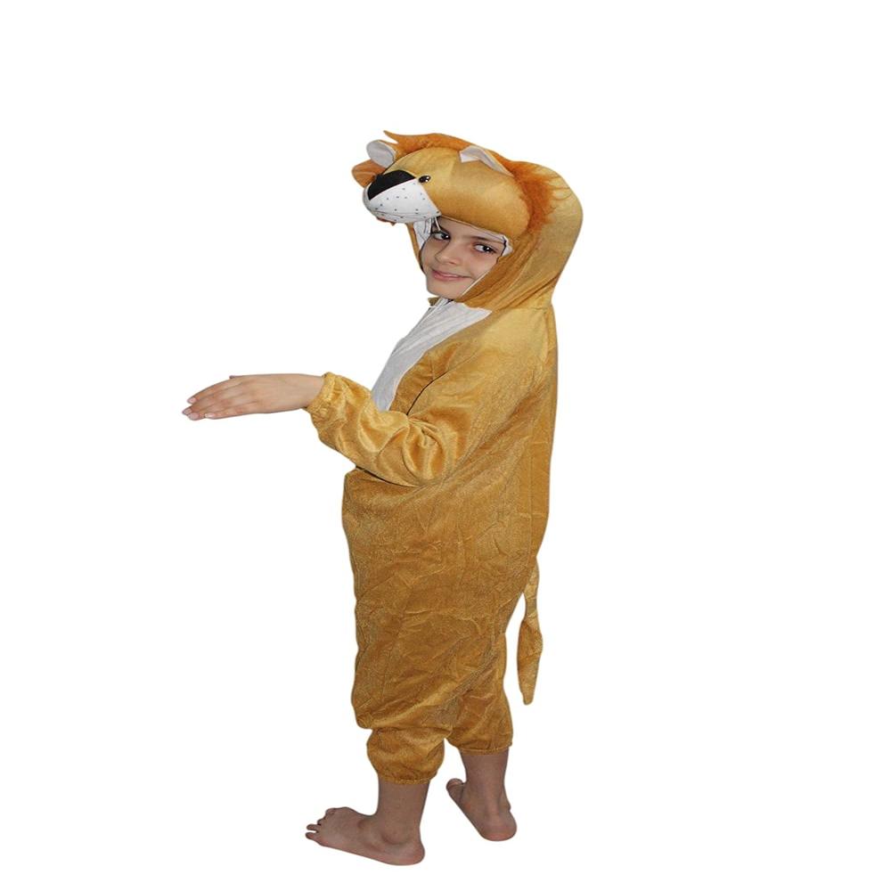 Lion Costume For Boys And Girls - Design: Fancy
