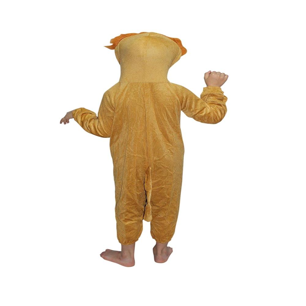 Lion Costume for boys and Girls