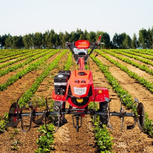 Power Weeder -170f Petrol Model Head Light Model
