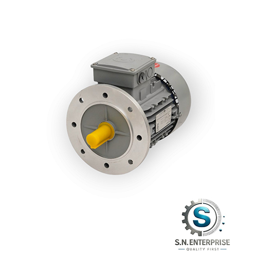 Industrial Electric Motor
