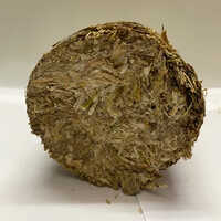 90mm Biomass Briquettes